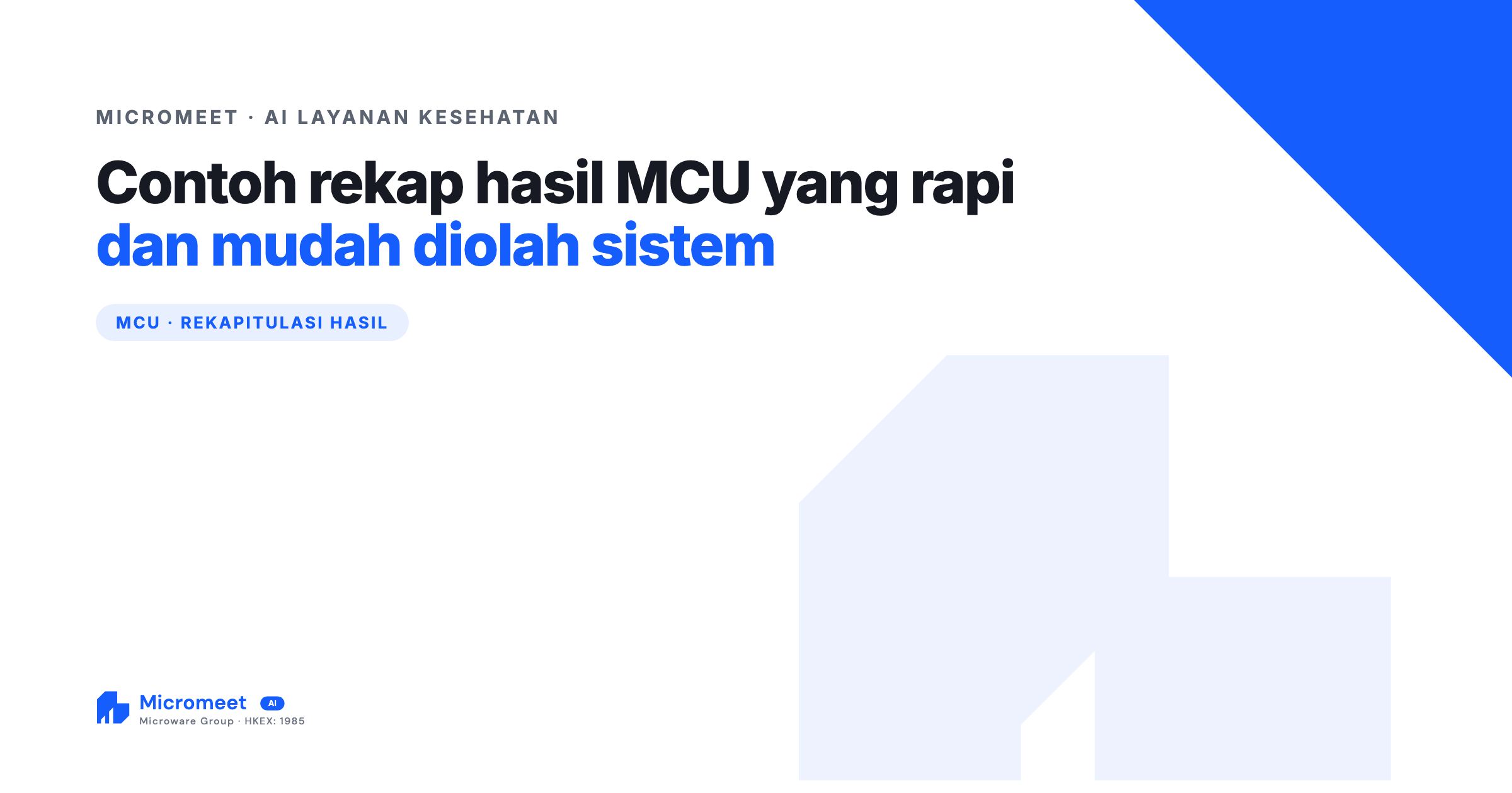 Contoh Rekap Hasil MCU yang Rapi dan Mudah Diolah