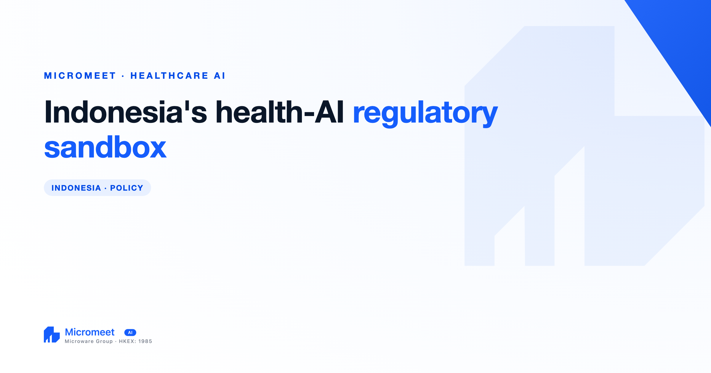 Indonesia's Kemenkes Regulatory Sandbox: What It Means for Healthcare Innovation